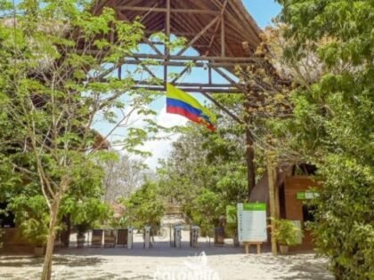 Ingreso aviario