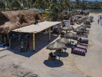 Palmarito 1